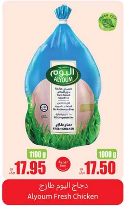 Alyoum Fresh Chicken 1100 GM