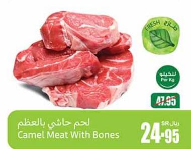 Camel Meat With Bones 