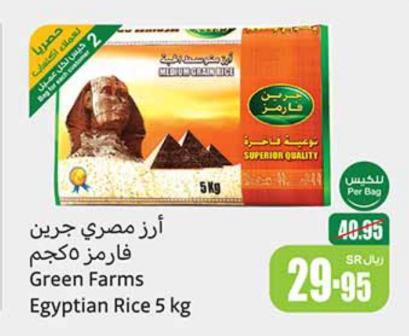 Green Farms Egyptian Rice 5 Kg