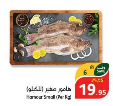 Hamour Small (Per Kg)