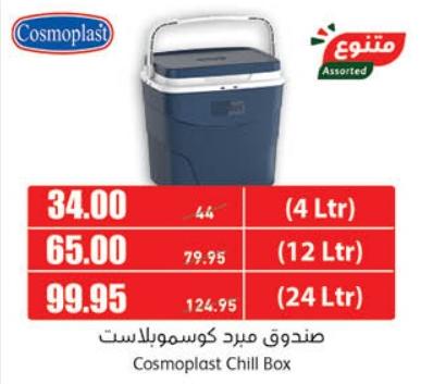 Cosmoplast Chill Box  24 LTR