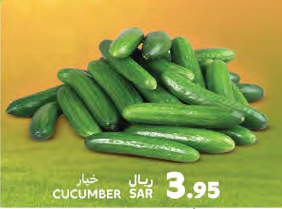 Cucumber