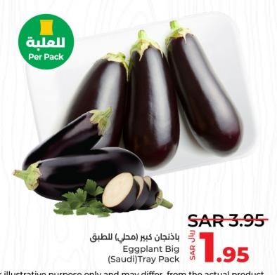 Eggplant Big (Saudi) Tray Pack