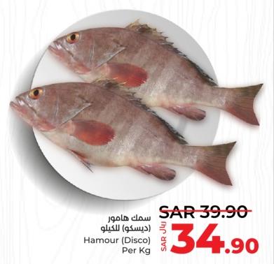 Hamour (Disco) Per  Kg