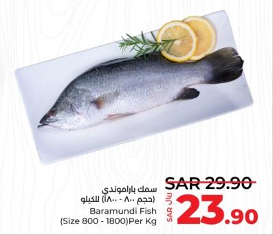 Baramundi Fish (Size 800 - 1800) Per Kg