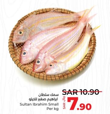 Sultan Ibrahim Small PER KG