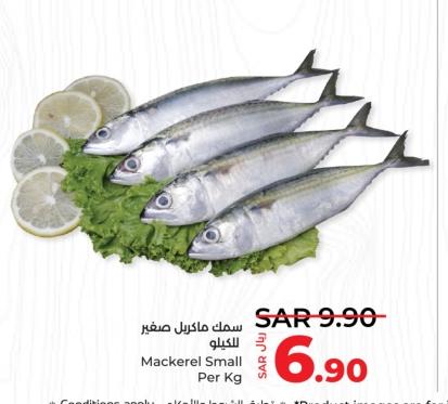 Mackerel Small Per Kg