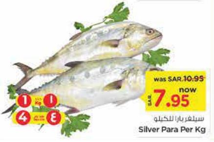 Silver Para Per Kg 