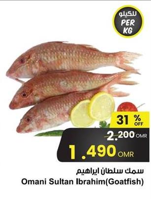 Omani Sultan Ibrahim (Goatfish)  PER KG 