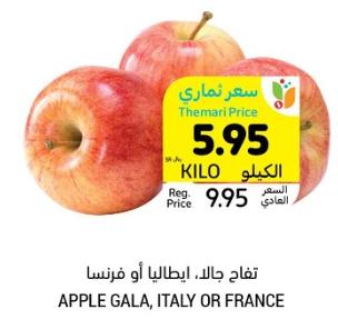 Gala Apples, Italy or France KG