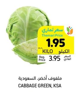 Green Cabbage KG