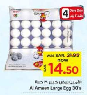 Al Ameen Large Egg 30's