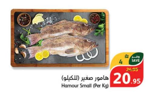 Hamour Small (Per Kg) 