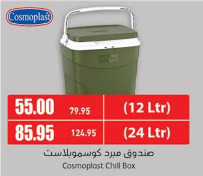 Cosmoplast Chill Box (24 Ltr)