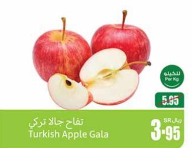 Turkish Apple Gala Per Kg 