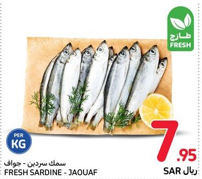 Fresh Sardine jaouaf 1kg