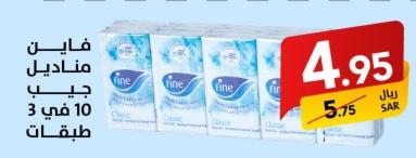 Fine Pocket Tissues 10 packs, 3-ply