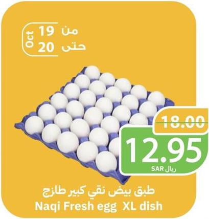 Naqi Fresh egg XL dish