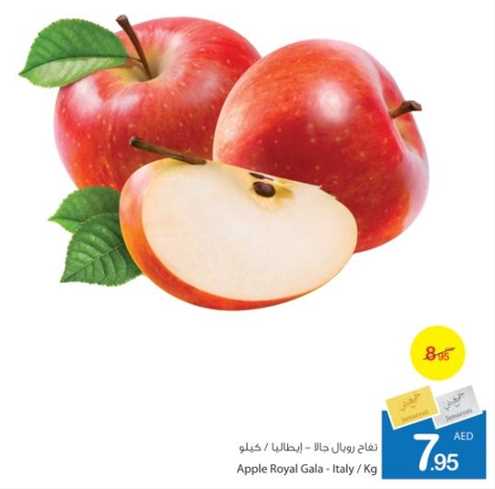 Apple Royal Gala - Italy / Kg