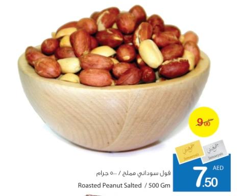 Roasted Peanut Salted / 500 Gm