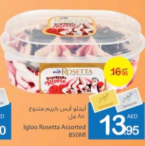 Igloo Rosetta Assorted 850Ml