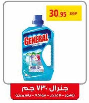 General Cleaner 730ml Flowers/ Lavender/ Fruits / Jasmin 