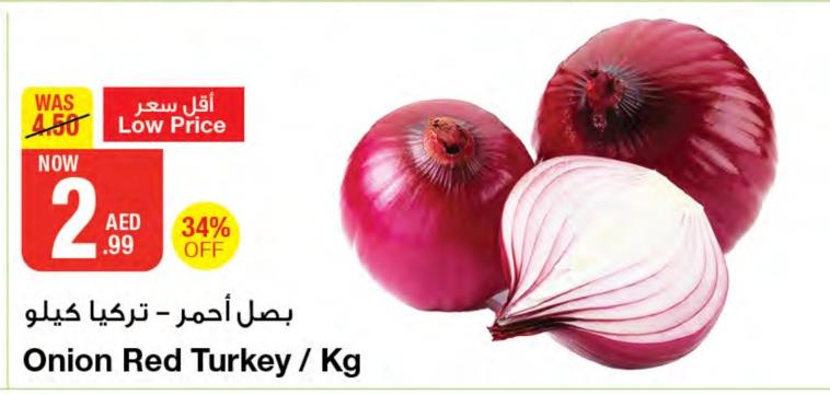 Onion Red Turkey / Kg