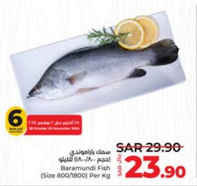 Baramundi Fish (Size 800/1800) Per Kg