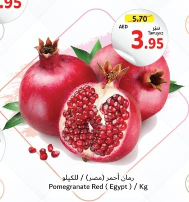 Pomegranate Red (Egypt) / Kg