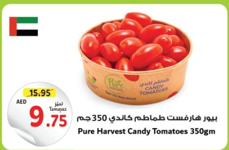 Pure Harvest Candy Tomatoes 350gm