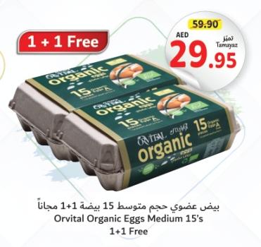 Orvital Organic Eggs Medium 15's 1+1 Free