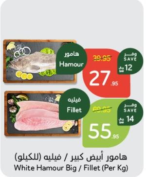 White Hamour Big Per Kg