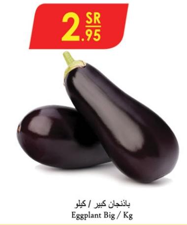 Eggplant Big / Kg