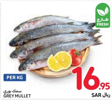 GREY MULLET  PER KG