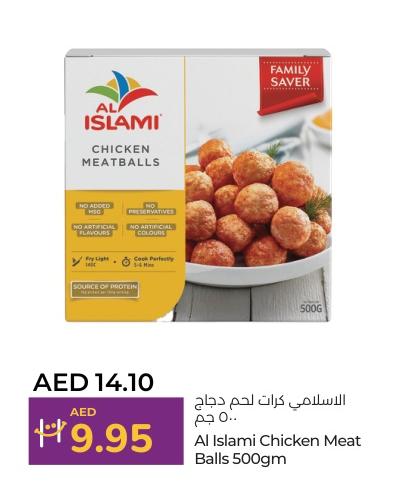 Al Islami Chicken Meat Balls 500gm