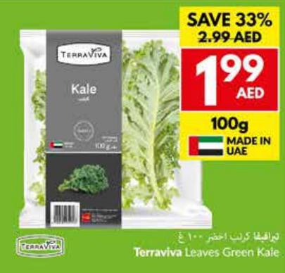 Terraviva Leaves Green Kale 100 gm 