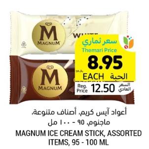 MAGNUM ICE CREAM STICK, ASSORTED ITEMS, 95 -100 ML