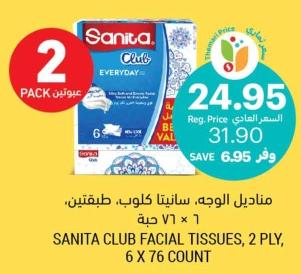 SANITA CLUB FACIAL TISSUES, 2 PLY, 6 X 76 COUNT