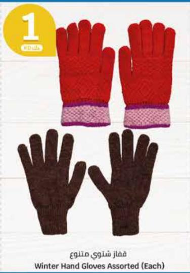 Winter Hand Gloves Assorted (Each)