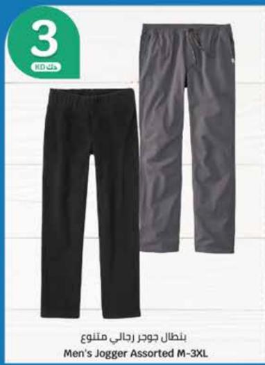 Men's Jogger Assorted M-3XL