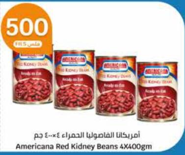 Americana Red Kidney Beans 4X400gm