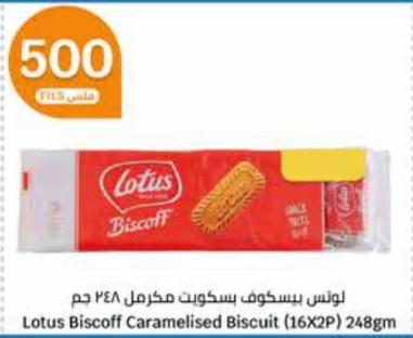 Lotus Biscoff Caramelised Biscuit 248 gm