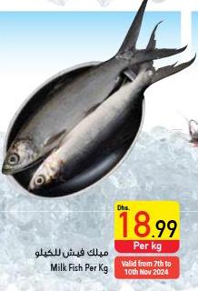 Milk Fish Per Kg