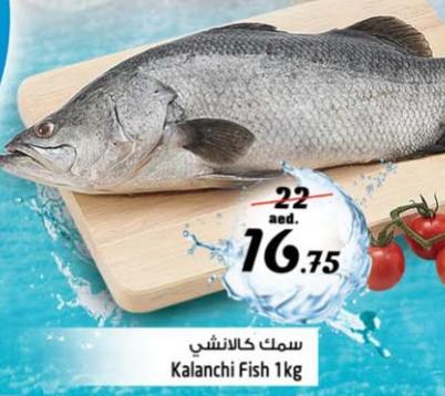 Kalanche Fish 1kg