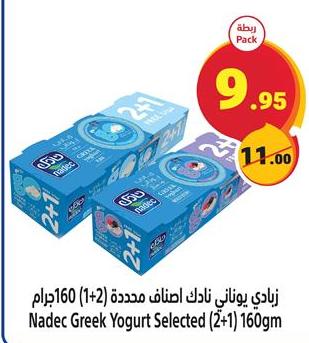 Nadec Greek Yogurt Selected (2+1) 160gm