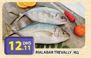 Malabar Trevally /KG