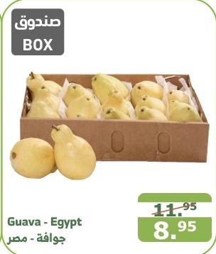 Guava - Egypt BOX