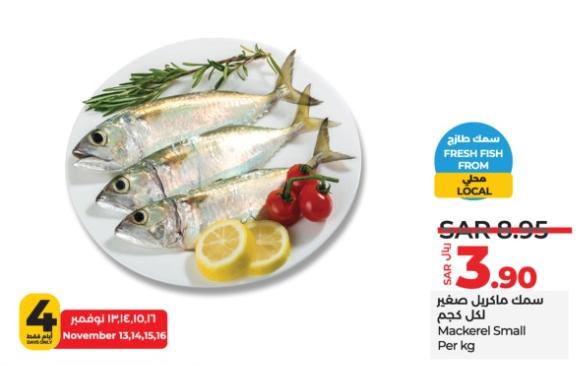 Mackerel Small Per kg