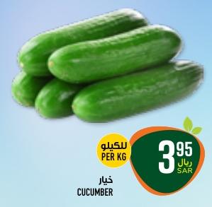 Cucumber