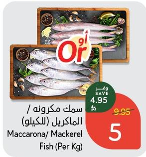 Maccarona/ Mackerel Fish (Per Kg)